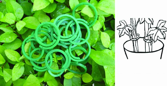 50PCS PLANT RINGS, 30MM