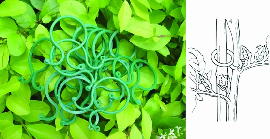 50PCS PLANT RINGS, 40MM