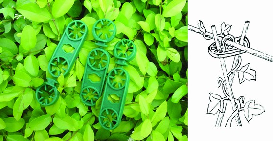 10PCS PLANT RINGS