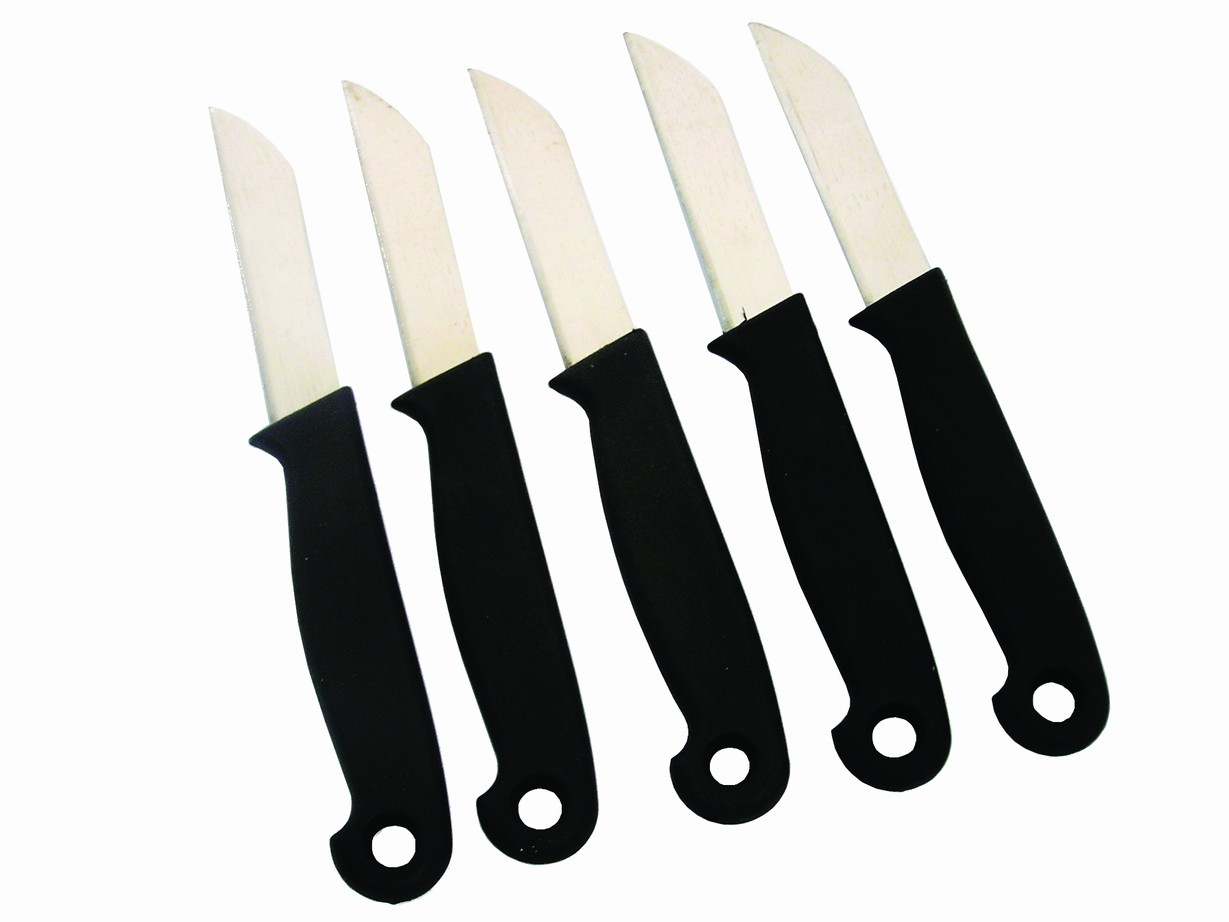 6PC FRUIT KNIVES SET