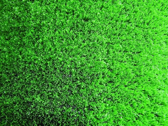 Artificial Grass