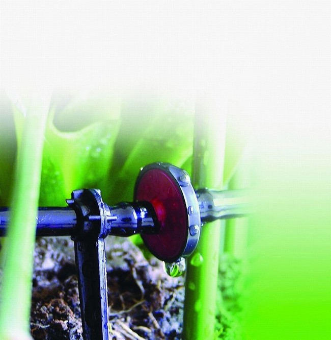 Micro irrigation system application