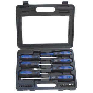 21 SCREWDRIVER AND BITS SET