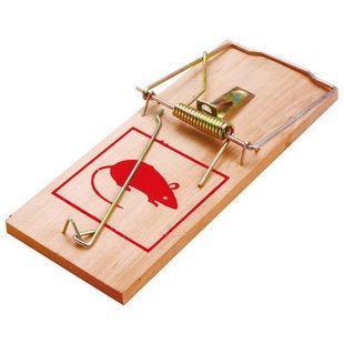 WOODEN MOUSE TRAPS