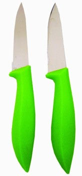 2PC FRUIT KNIVES SET